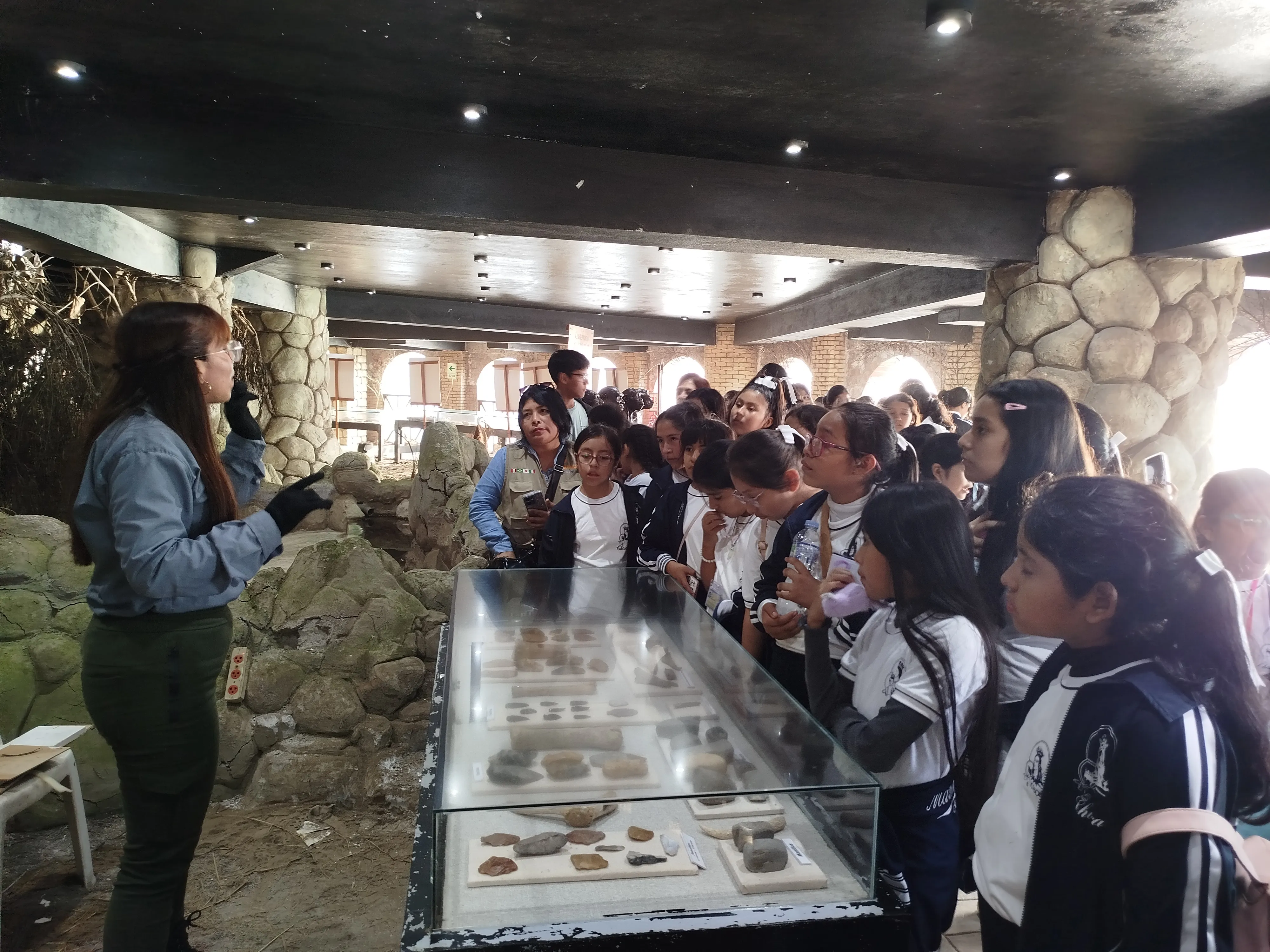 Enfoque académico del nivel primaria